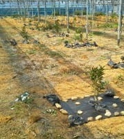 20120409131113.JPG