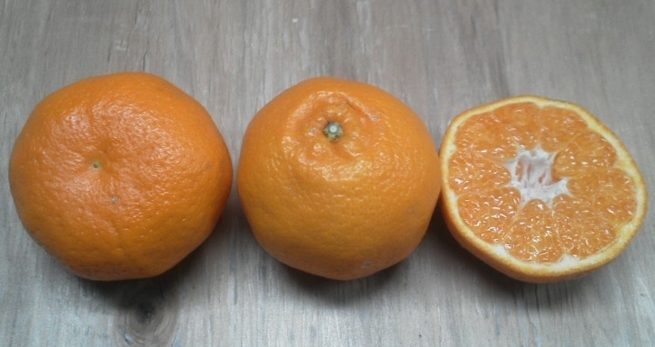 20130223182411.jpg